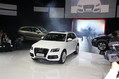 2010��µ�Q5�����ֳ�