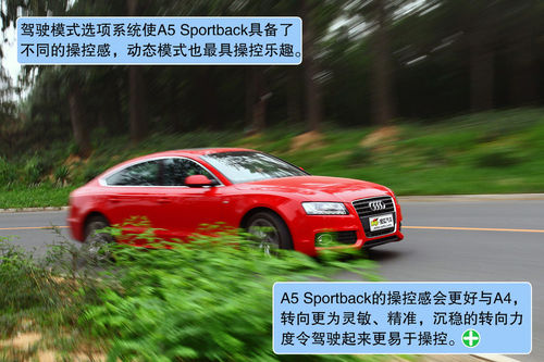 µ A5 Sportback ʵ ͼ ͼƬ