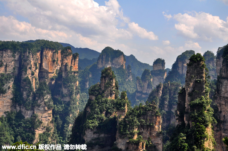 Img7601544_f.jpg