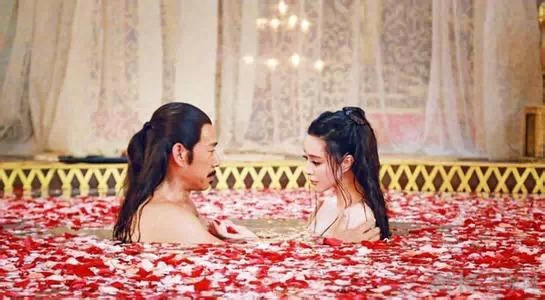 范冰冰收入来源_电视剧收入来源(3)