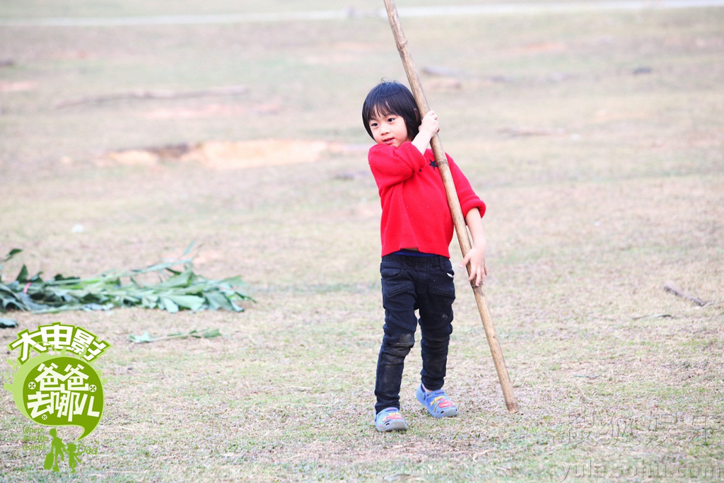 金陵十三钗票房总收入_爸爸去哪儿票房收入