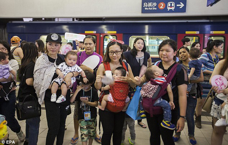 低等植物细胞结构图_中低等收入国家(2)