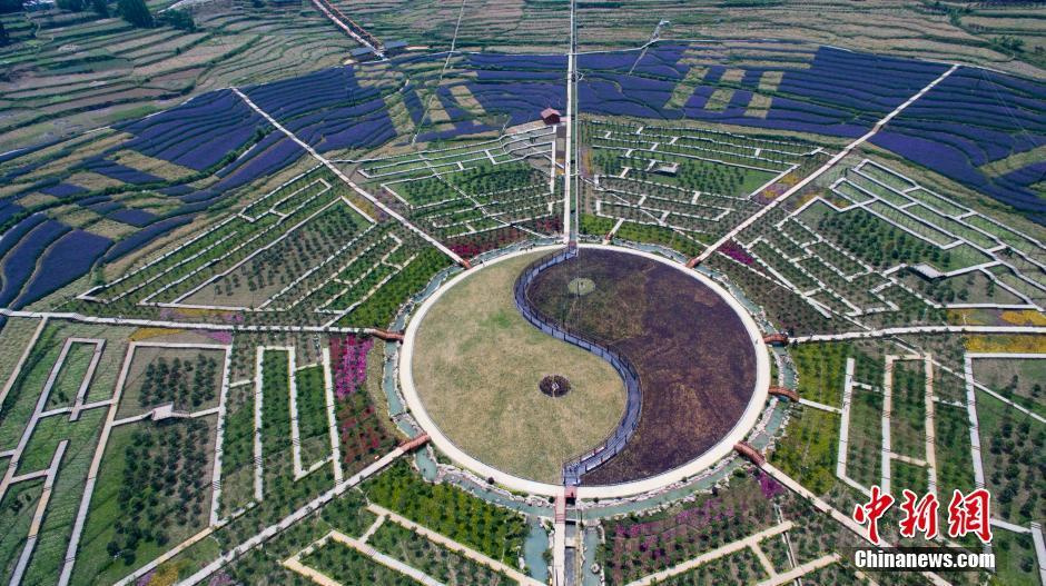 河南项城强征农民土地_农民土地收入(2)