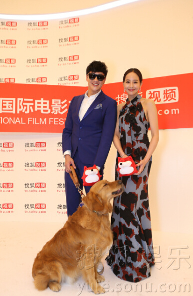 北京国际电影节:何润东带金毛犬霸气现身-娱乐
