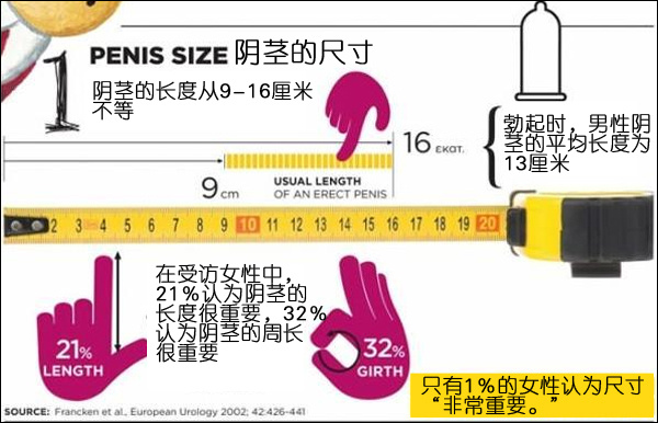 阴茎人均长度_欧美男性人均长度
