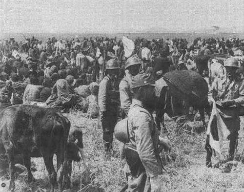 黄泛区不是那么好过的7672008-军事频道图片