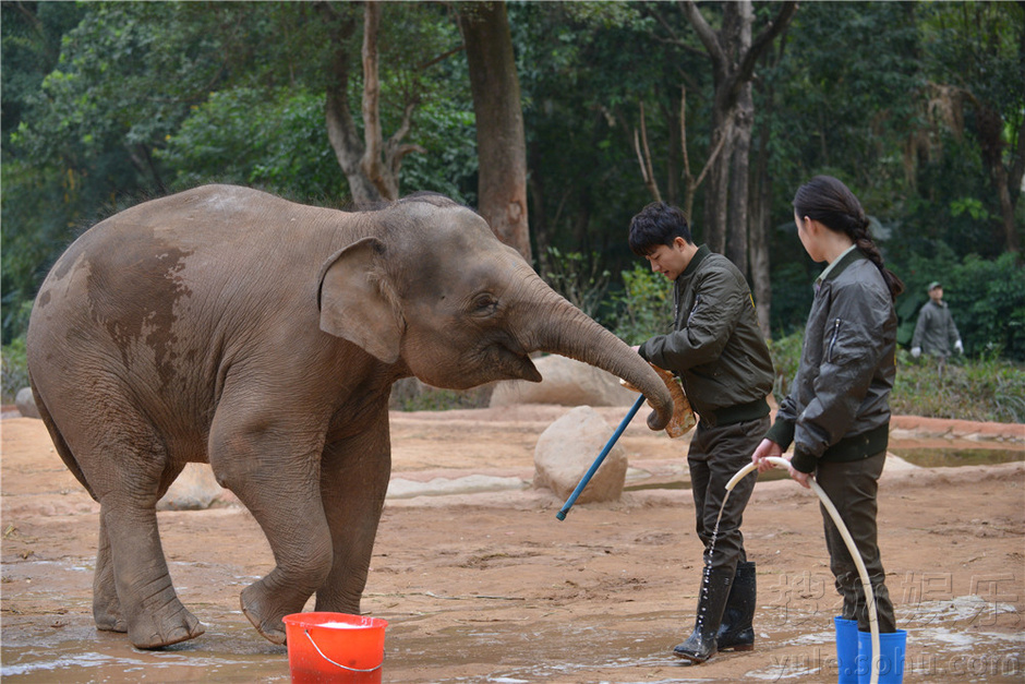 《奇妙的朋友》公开照片 倪妮黄轩给大象洗香