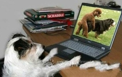 世界<em>撸管</em>王能连撸十小时6050224-Wap频道图