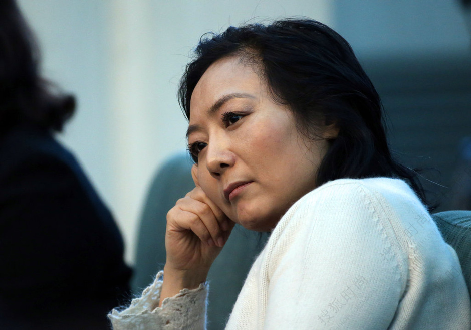 女富豪三甲都是政协委员 两会女富豪代表盘点6329532-搜狐时尚频道图片库-大视野-搜狐