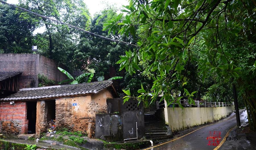 探索遗失的深圳之走进坪山金龟村