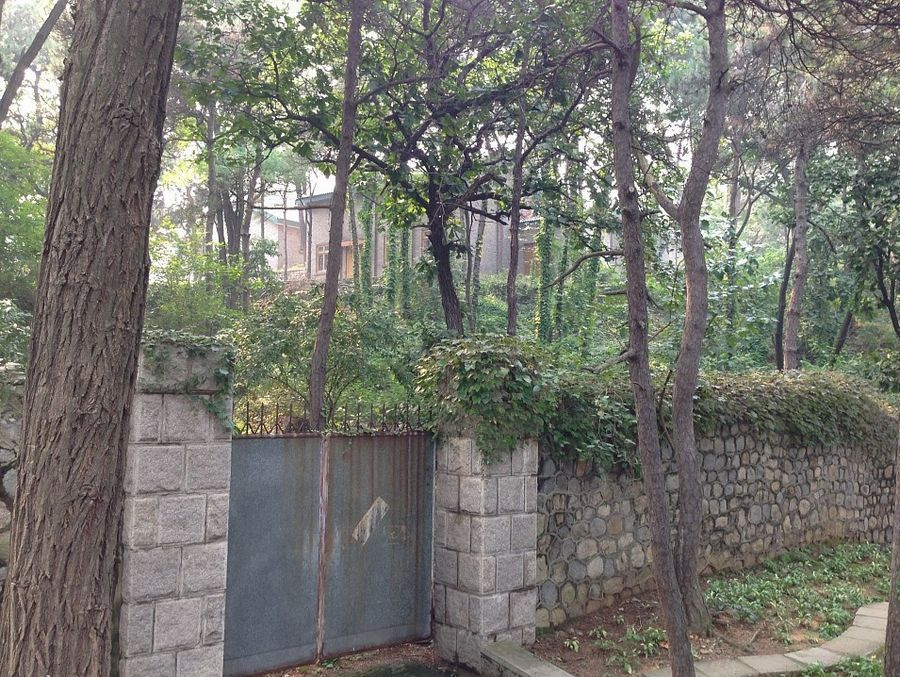 揭秘北戴河林彪96号别墅:叛逃出发地5972036