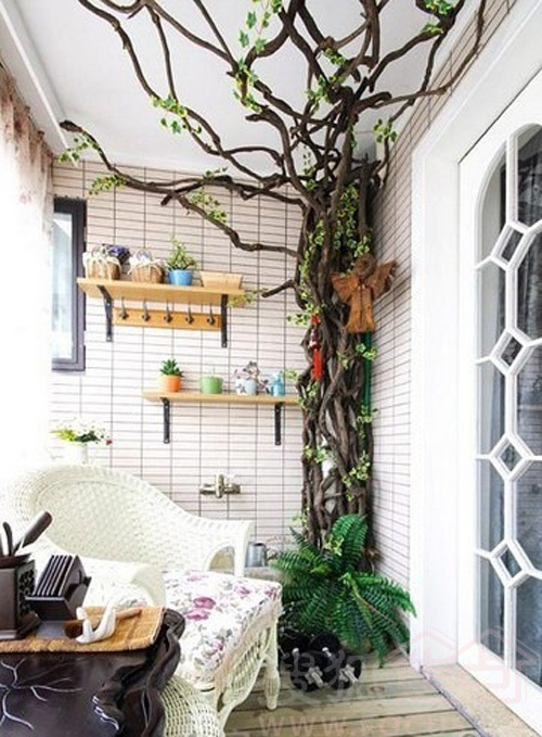 做<em>花房姑娘</em> 让阳台种出花园来6953740-焦点频