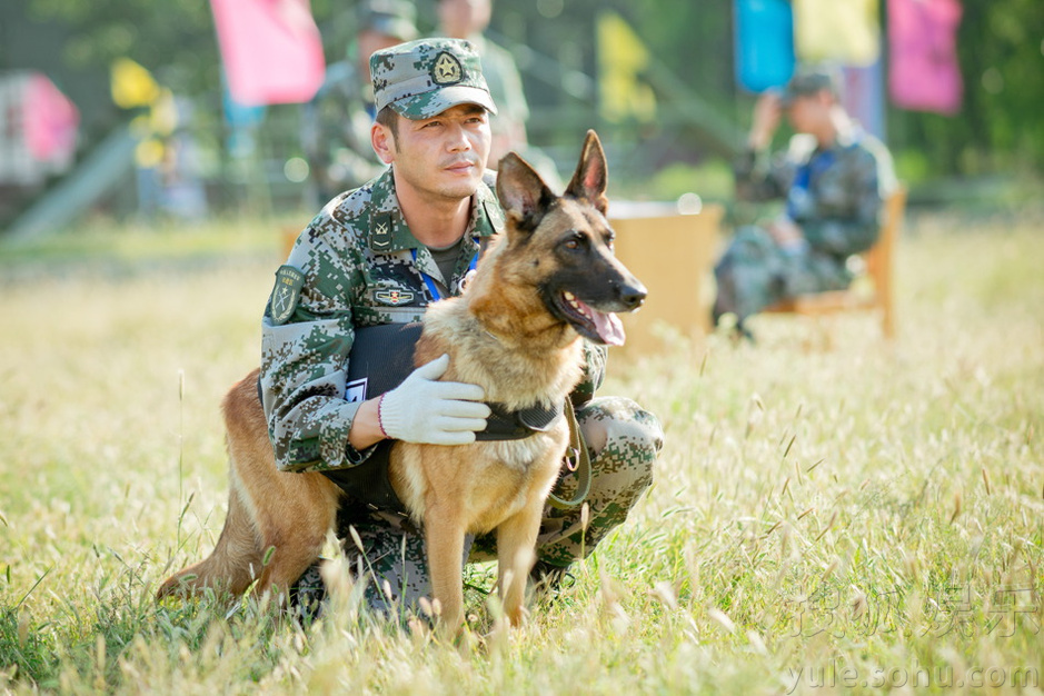 《神犬奇兵》曝精彩剧照 犬王争霸赛剑拔弩张