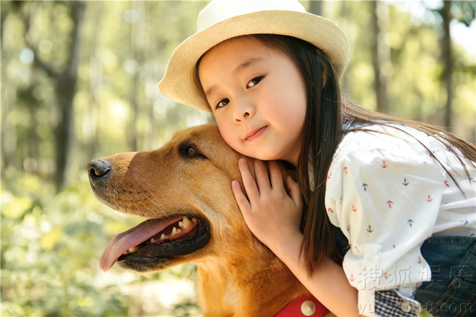 神犬小七激萌写真网友生个萝莉养条狗