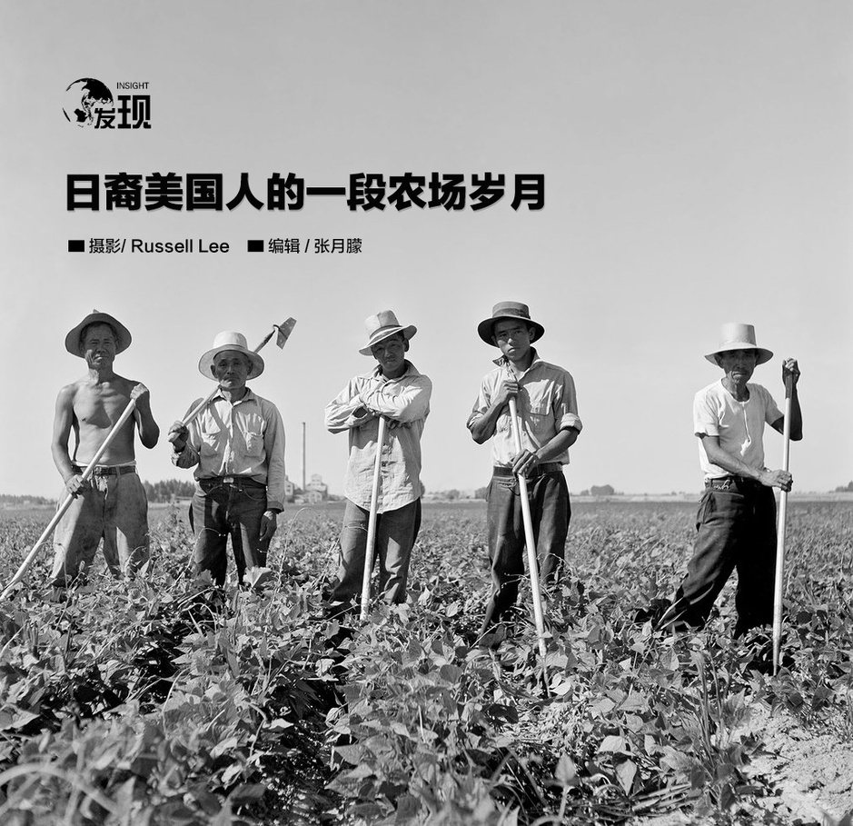 日裔美国人的一段农场岁月