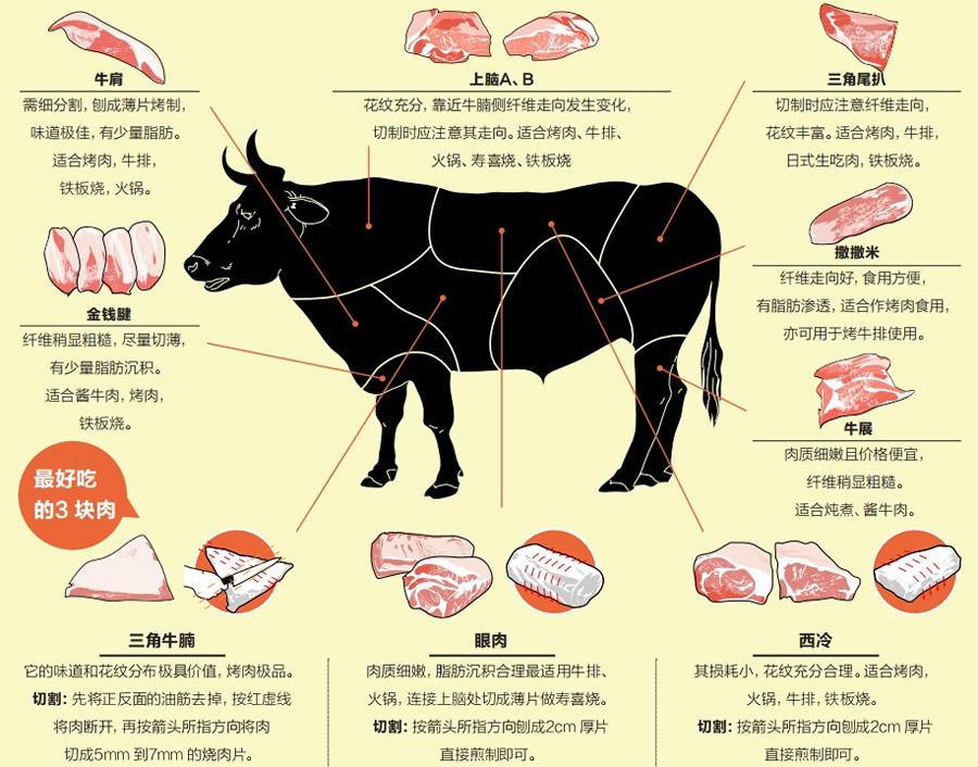 我们做一回庖丁,帮你按部位分析最重要的几块牛肉应该怎么吃才最好