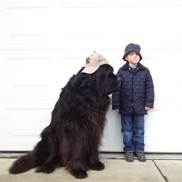 一起 快乐 童年/超有爱巨型犬和小主人一起的快乐童年(1/45)