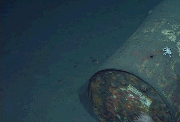 触目惊心 4000米深海底揭示海底污染