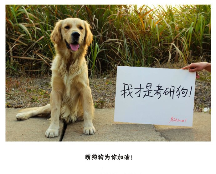 湖南科大学生拍摄“有爱考研祝福”走红网络