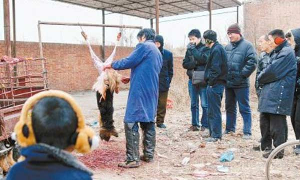 当街杀狗剥皮吓哭孩子 小贩:现宰新鲜顾客放心