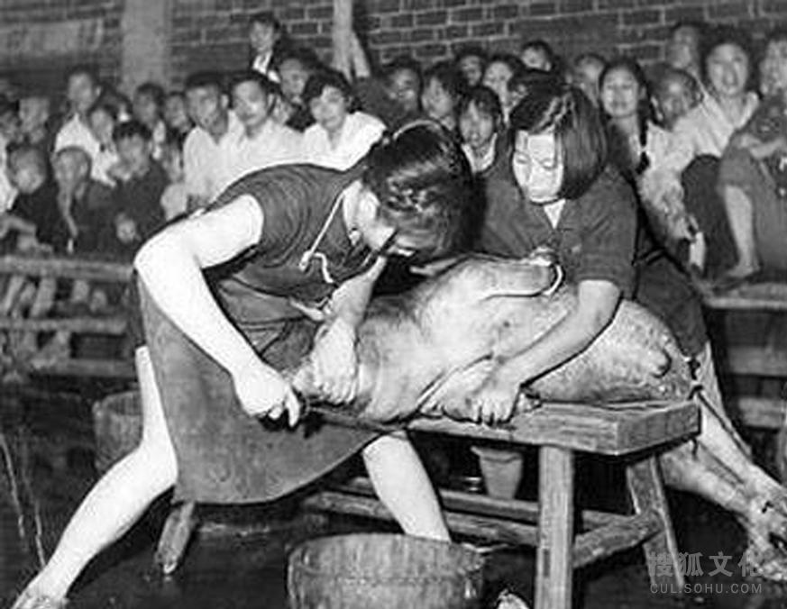 文革时用毛泽东思想指导杀猪