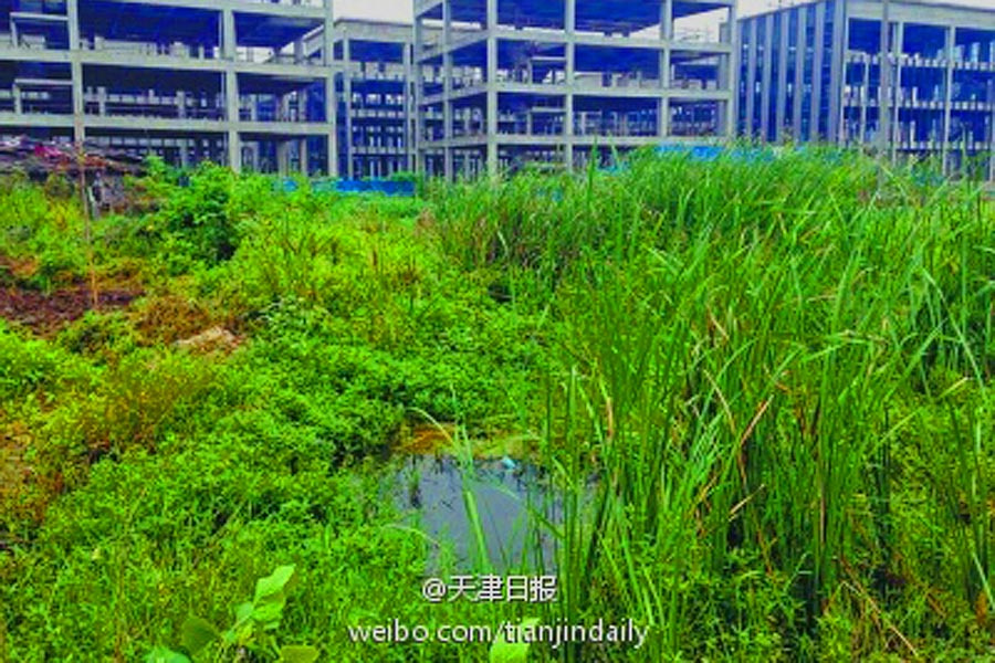 90后准新娘被丢水塘图片