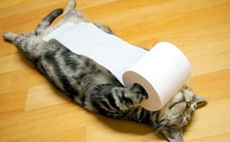 75%的<em>妹子都</em>有<em>处女</em>恐惧症6348692-Wap频道