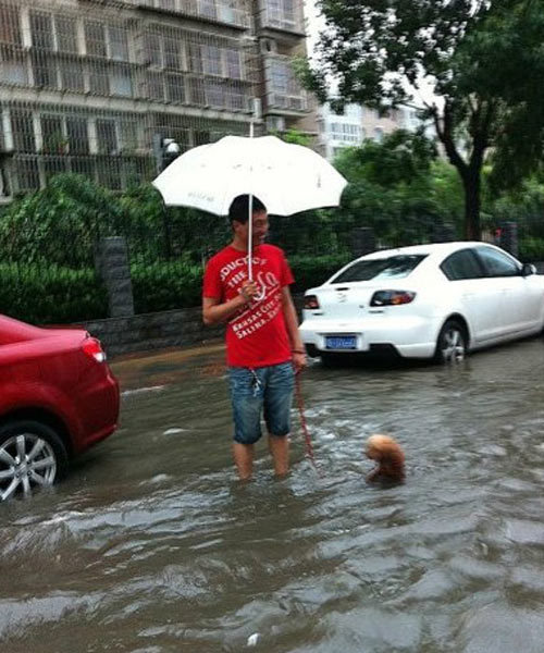 天津遭遇暴雨袭击一片汪洋 市民不忘“雨中取乐”(组图)