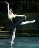 图文：美国芭蕾舞剧院2013访华演出《天鹅湖》(4)