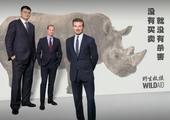 高清：姚明与小贝威廉王子拍广告 呼吁保护犀牛