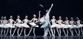 图文：俄罗斯芭蕾舞剧院经典芭蕾舞剧《天鹅湖》