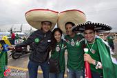 高清图：墨西哥球迷聚赛场 标志性草帽自成一景