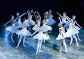 图文：美国芭蕾舞剧院2013访华演出《天鹅湖》(12)