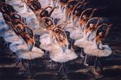 图文：美国芭蕾舞剧院2013访华演出《天鹅湖》(10)