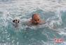 克罗地亚狗狗沙滩挑战赛 主人携爱犬水中畅游