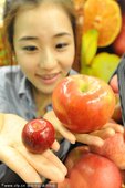 2010年10月19日，韩国量贩店“HomePlus”永登浦店推出了个头只有一般苹果1/7的小苹果。...