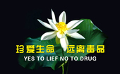 �䰮����Զ�붾Ʒ6