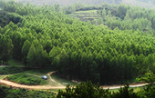 �G������