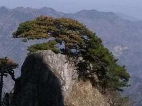 万佛山