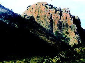 天佛指山