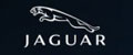 JAGUAR����