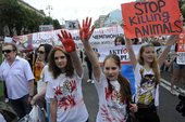 高清：保护动物组织血染足球示威 呼吁停止杀戮