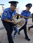 高清：乌克兰裸女决赛前示威 警方出动遏制骚乱