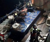 韩国逮捕9名中国渔民